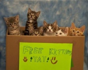 Read more about the article The Real—and Verifiable—Reasons Why Free Legal Help Doesn’t Get It Done